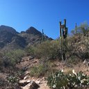 arizona from kells camera - IMG_3156